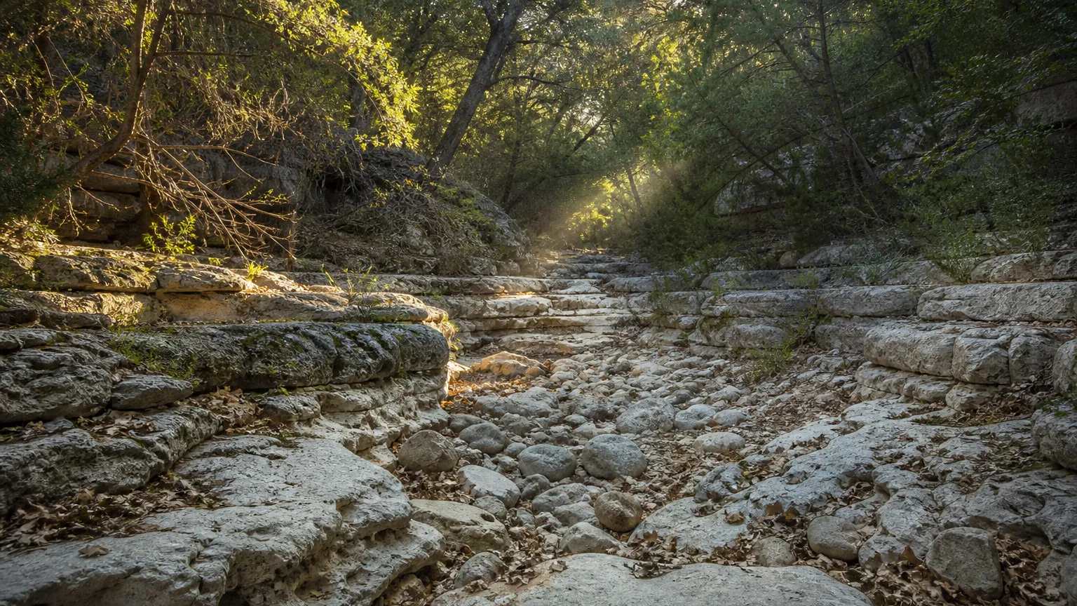 Bee Cave, Texas terrain: wooded limestone canyon with a dry creek bed and oak-juniper cover