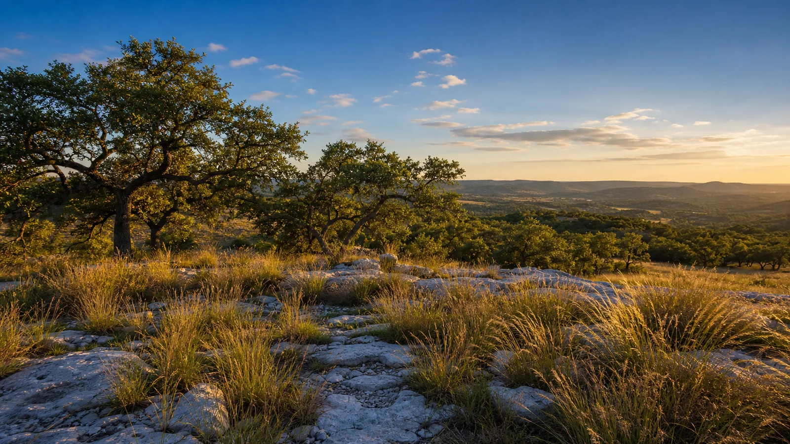 Texas Hill Country homesite at golden hour with live oaks, limestone outcrop, and rolling hills