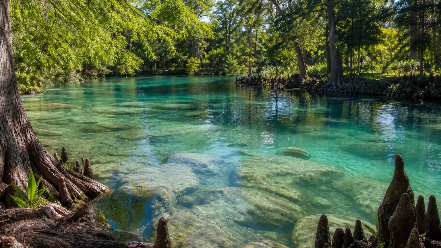 San Marcos, Texas terrain: clear spring-fed river in aqua tones over limestone with cypress banks