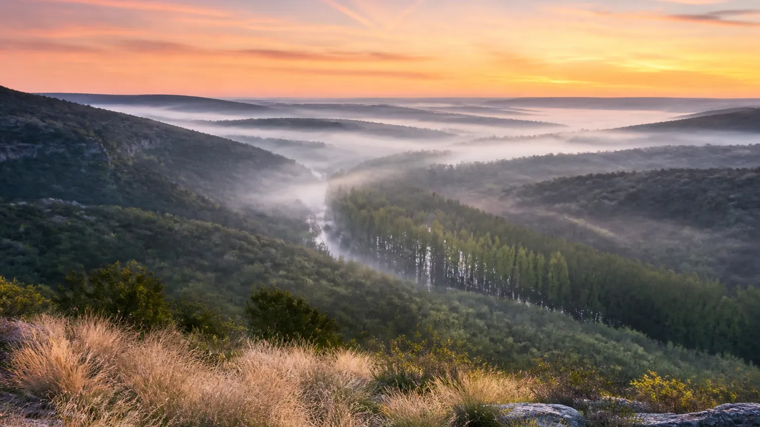 Wimberley, Texas: morning fog in the valley folds from a hilltop