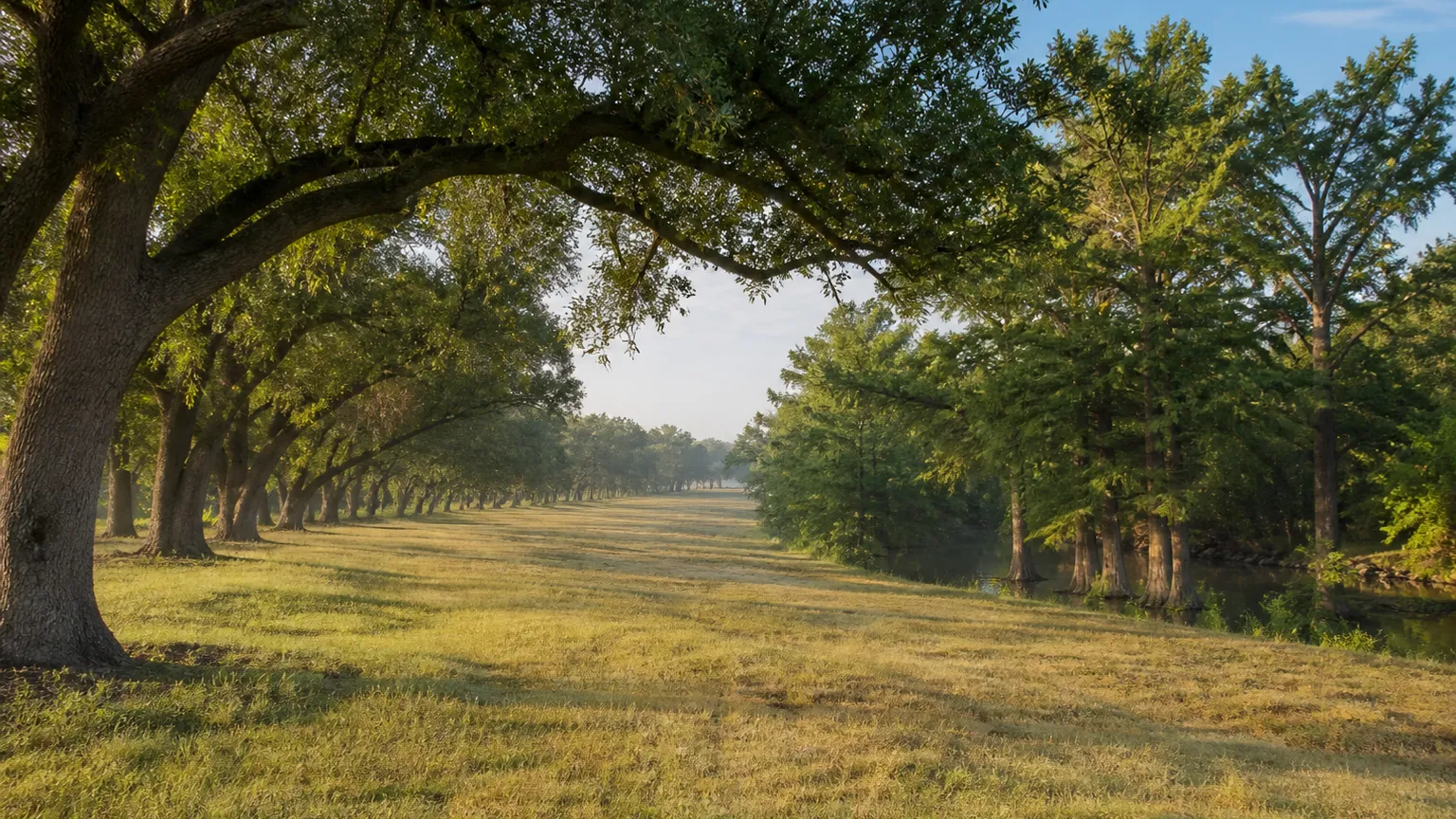Woodcreek, Texas terrain: grassy former fairway corridor flanked by arching live oaks
