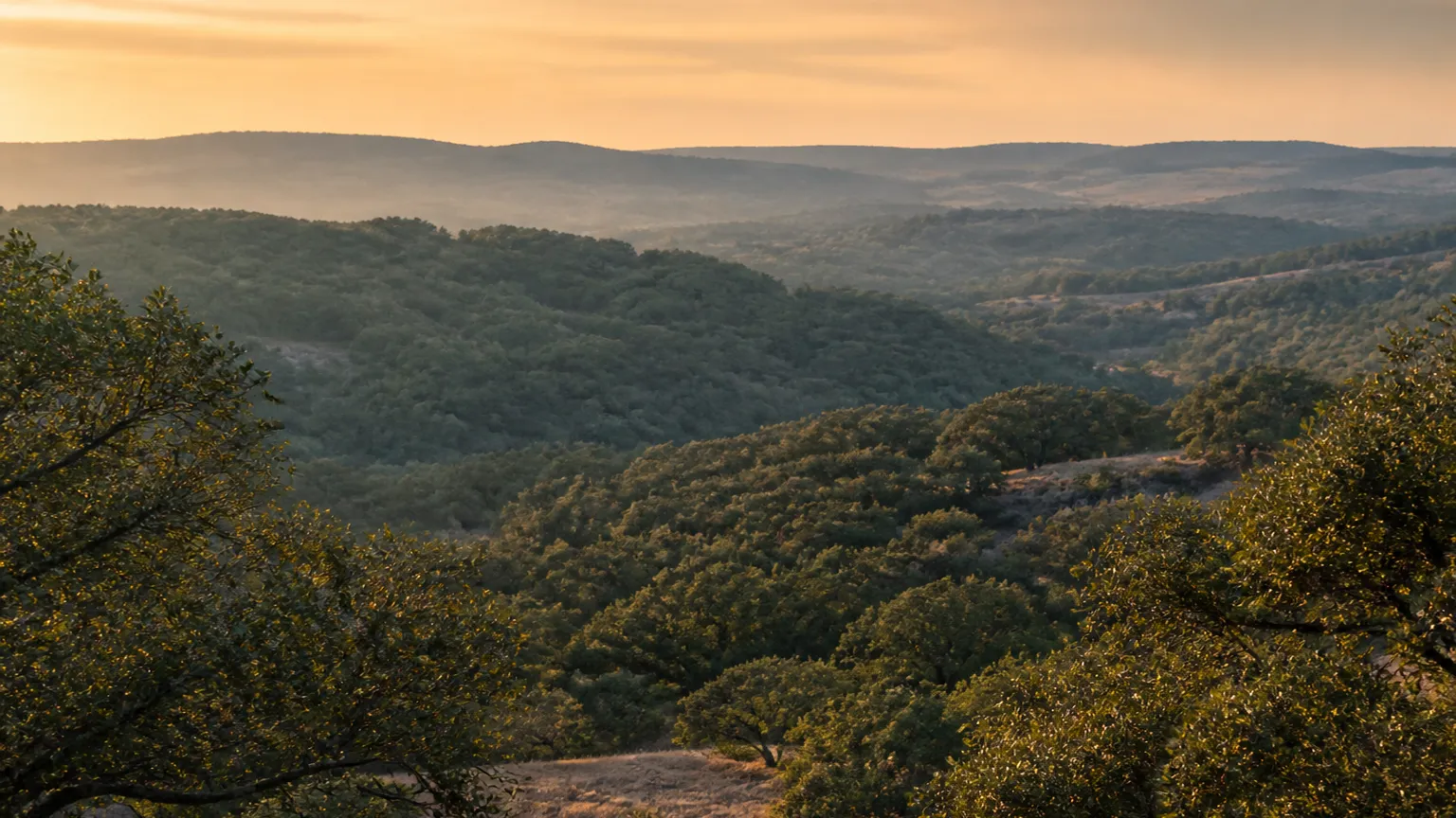 Woodcreek, Texas: evening vista over the valley oaks